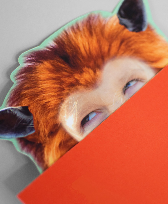 branding mask kit